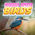 Pete ascunse – Păsări